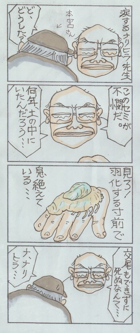 セミ