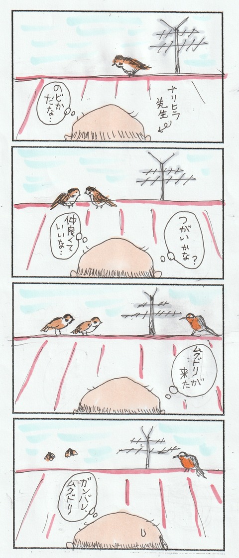 すずめとムクドリ