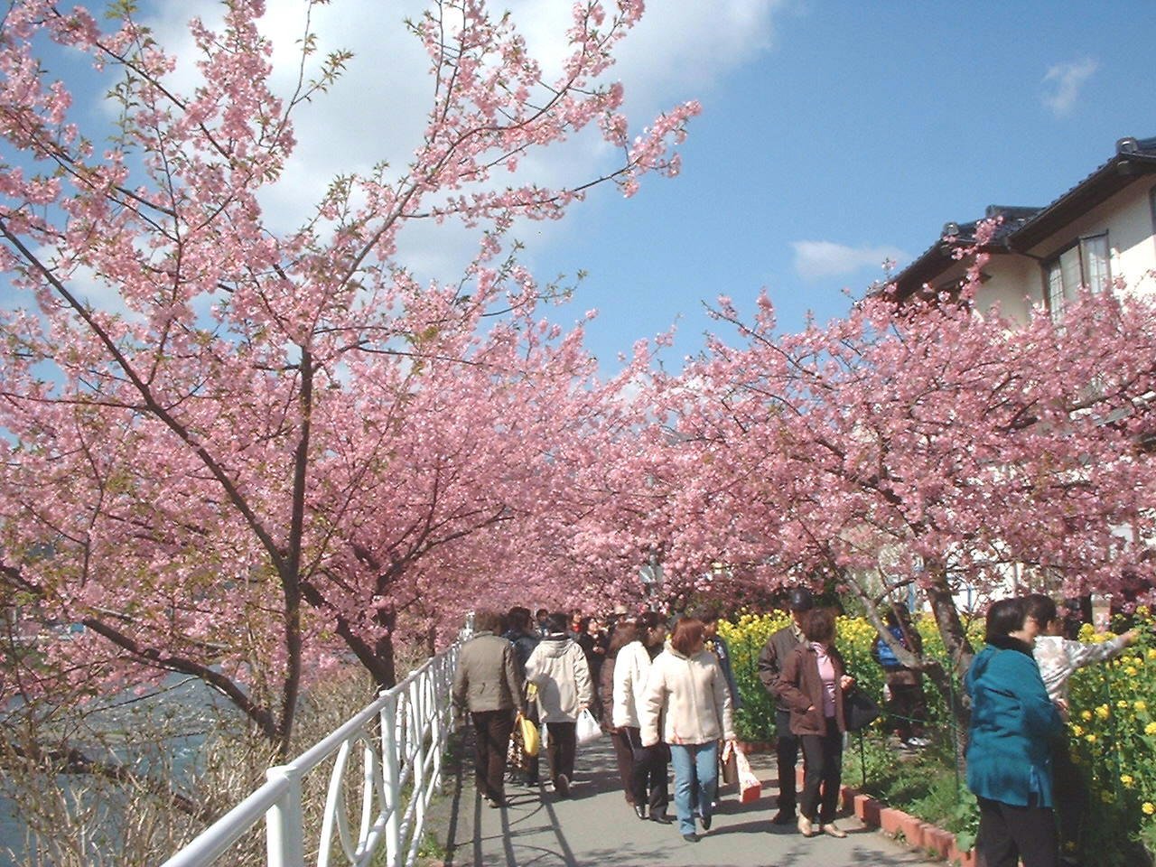 ���ź��ޤĤ꣰��