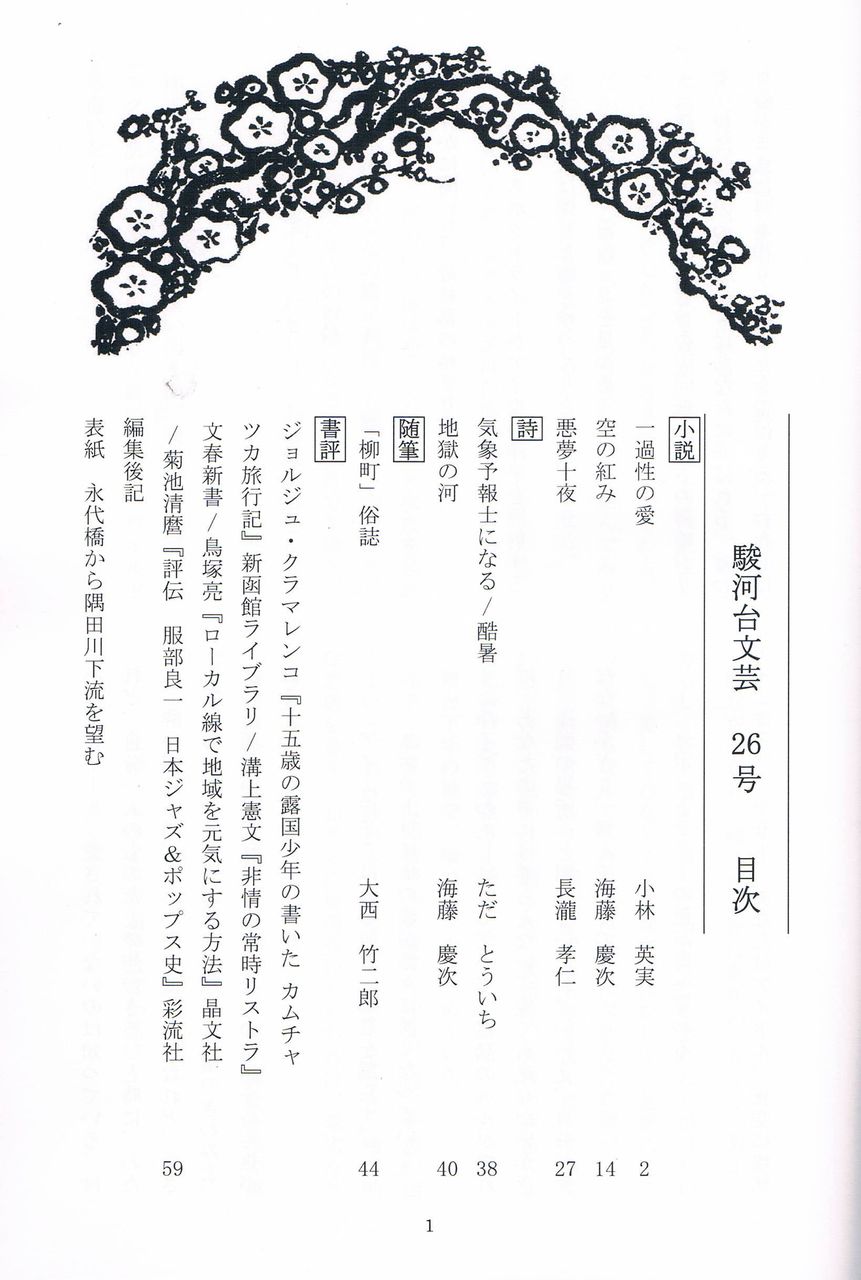 小説 一過性の愛 について 小林英実のブログ 小説 一過性の愛 について 小林英実のブログ