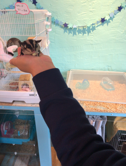 Screenshot_20191029-165637~01