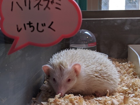 00000PORTRAIT_00000_BURST20191029122917465