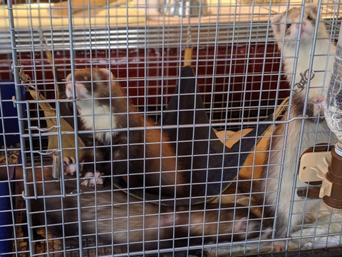 00100lPORTRAIT_00100_BURST20191029121845625_COVER