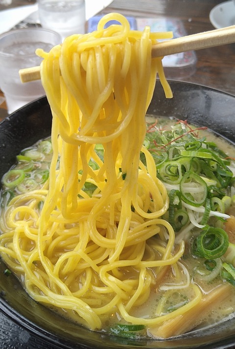 鶏そば硬麺+ネギ多目②