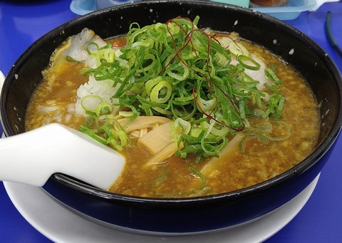 カレーラーメン(細麺+硬麺+ネギ多目)