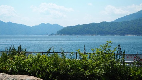 魚っ知館③