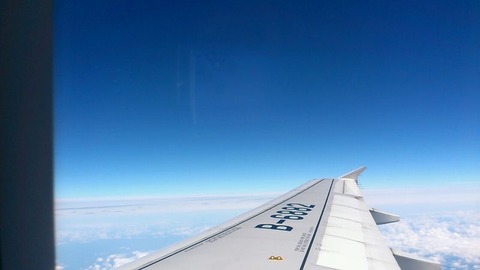 CA194②