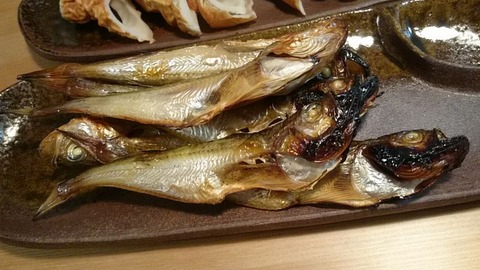 舞鶴かね和のハタハタ一夜干し