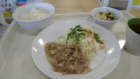 塩麹豚肉生姜焼き