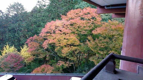 善峰寺駐車場2Fより