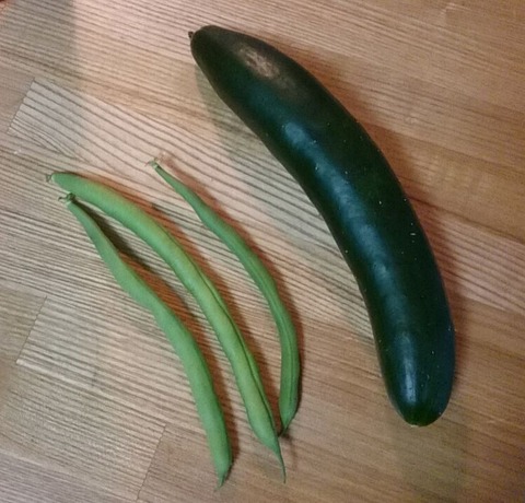 うどんこつよしとインゲン