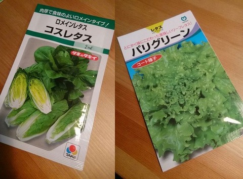 たまには違った野菜の種を