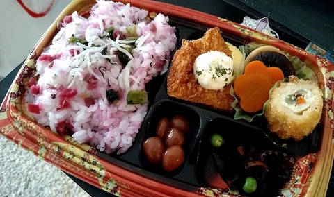 篠島しらすとカリカリ梅ご飯弁当