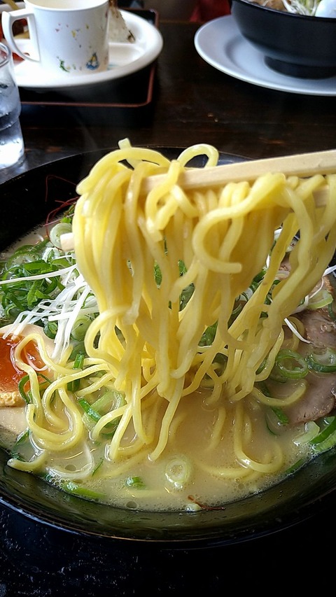 鶏そば麺硬めネギ多め①