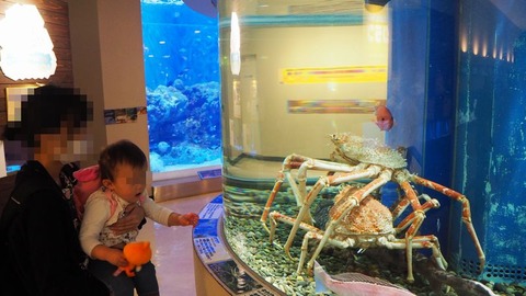 魚っ知館②