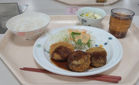 豚ヒレカツと茄子の肉詰めフライ