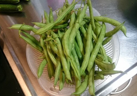 たかもくさんに頂いたインゲン