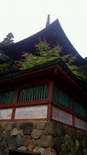 多宝塔