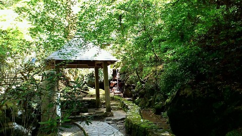 るり井①