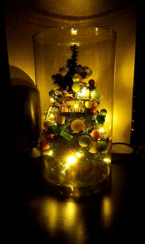 健やかな成長を願って、Merry X'masu