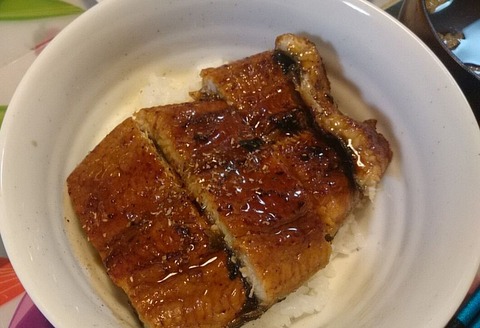 九州産鰻の鰻丼