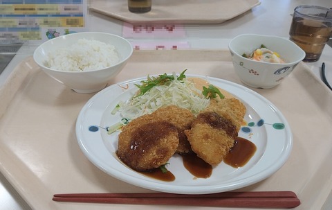 ササミしそ巻きフライとチキンカツ