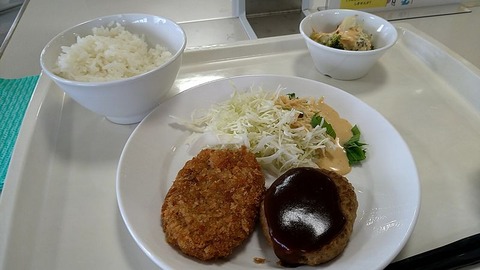 ハンバーグとデミグラスコロッケ