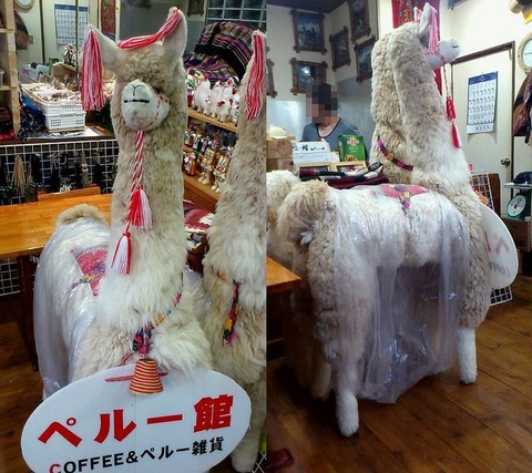 店内のアルパカ