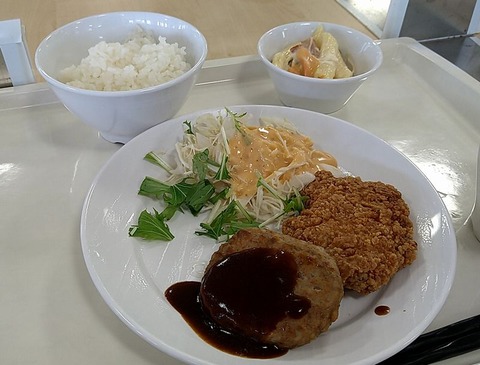 ハンバーグとフライドチキン