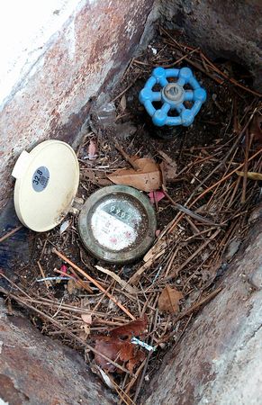 パロットは回ってませんね