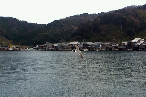伊根湾6