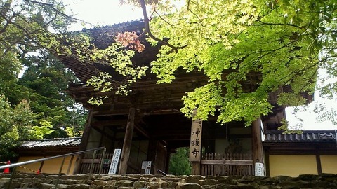 楼門
