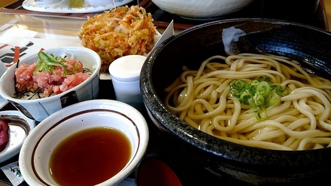 海老かき揚げうどんミニまぐろ丼セット