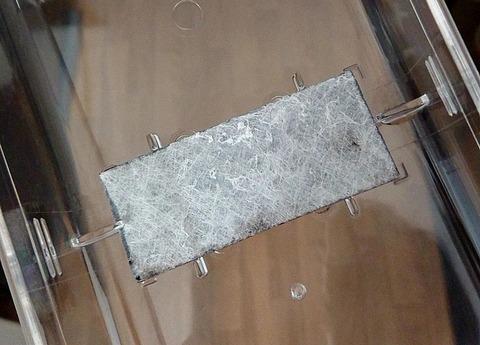 黒カビついてますやん②