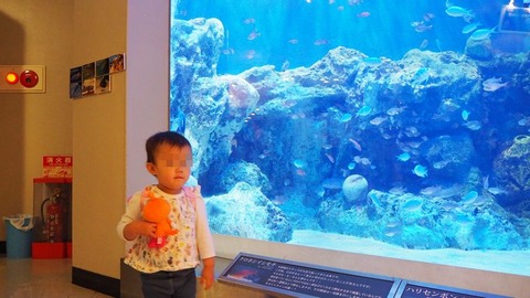魚っ知館①