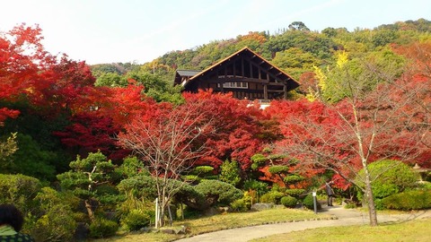 美術館本館⑦