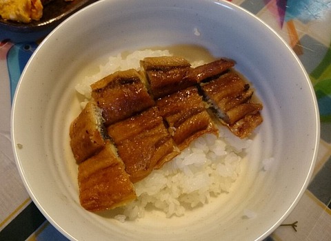 鮒定の国産鰻