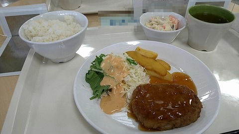 ハンバーグジンジャーソース