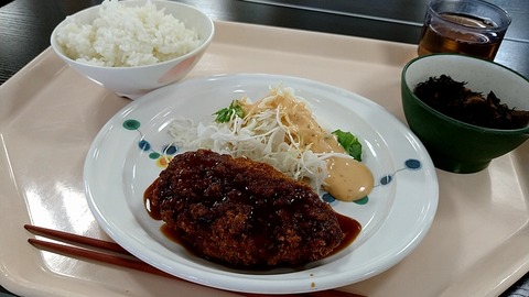 鶏ささみマヨカツ