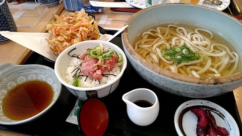 海老かき揚げうどんミニまぐろ丼セット