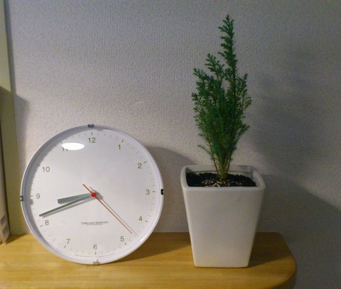 シルバークレスト