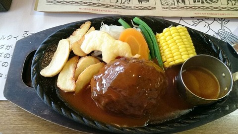 荒挽きハンバーグ ライス付き250g2