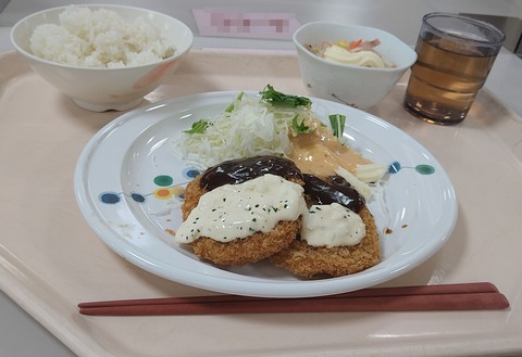 チキンカツのマヨたまデミグラスソース