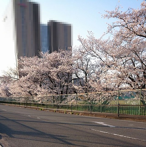 週末までもたないでしょうねぇ