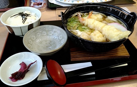 鍋焼きうどんミニとろろ丼セット