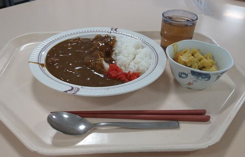 ビーフカレー+れんこんカレーマヨ和え