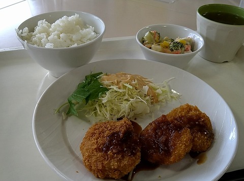 ヒレカツとピーマン肉詰め