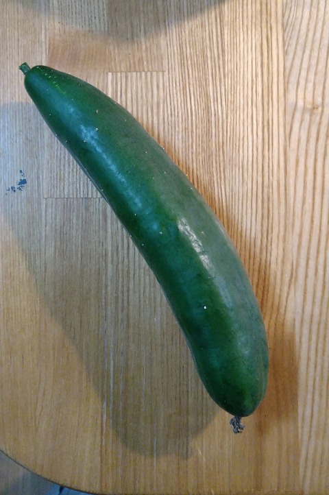 うどんこつよし