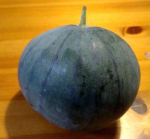 極旨黒皮スイカ