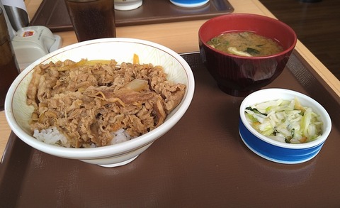 牛丼中盛りとおしんこセット